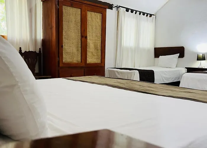 - Hotel Playa del Carmen