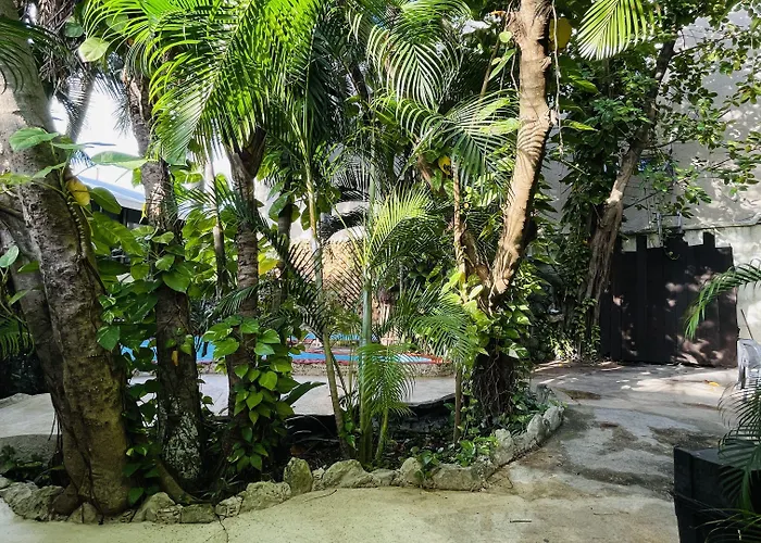 - Playa del Carmen