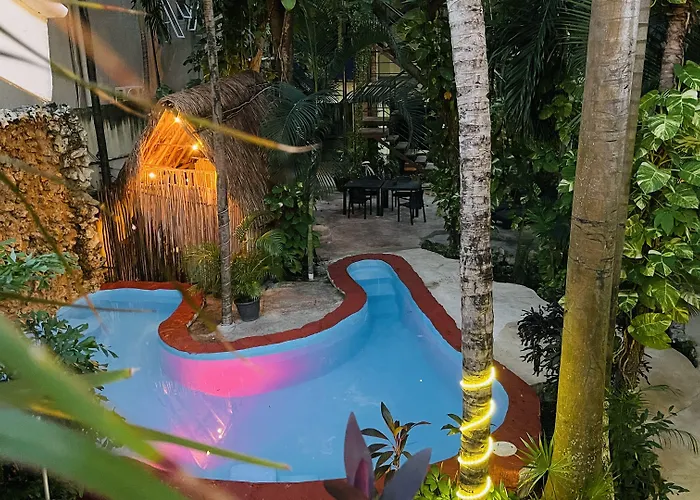 - Hotel Playa del Carmen