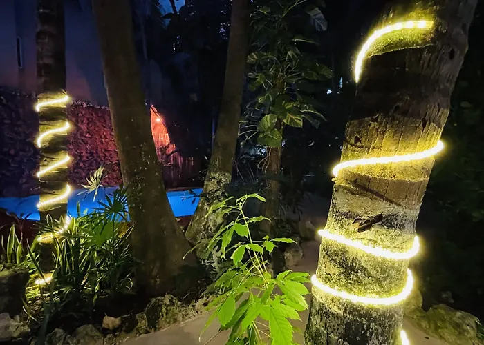 - Hotel Playa del Carmen